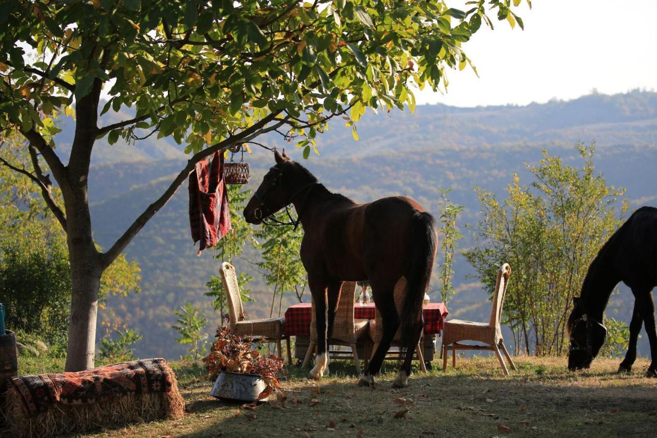 Lost Ridge Inn, Brewery & Ranch Sighnaghi Zewnętrze zdjęcie