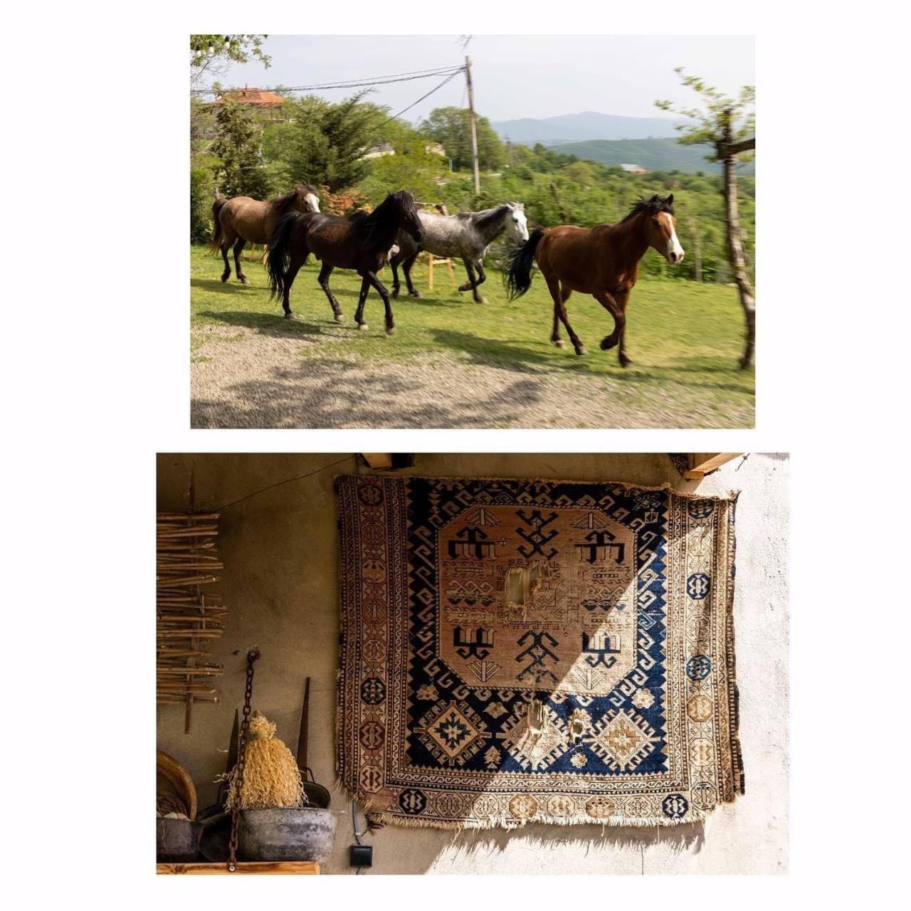 Lost Ridge Inn, Brewery & Ranch Sighnaghi Zewnętrze zdjęcie