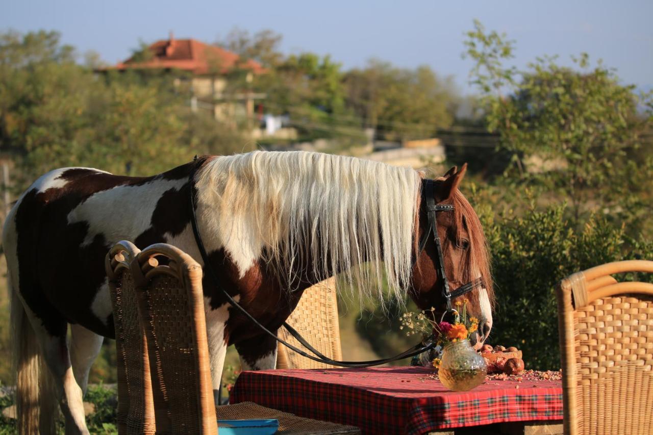 Lost Ridge Inn, Brewery & Ranch Sighnaghi Zewnętrze zdjęcie